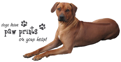 D’Yjego D'Yjego, uit het oog maar niet uit het hart xxx