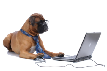 Reserveer online bij hondenuitlaatservice Funtim4dogs Haarlem